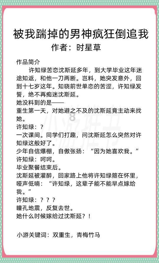 数码宝贝8