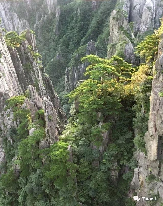 无人之境